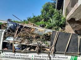 Demolition Debris Removal in Brier, WA
