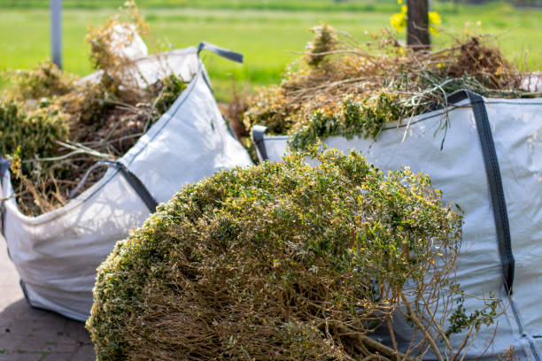 Best Hoarding Cleanup  in Brier, WA